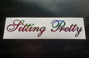 Sitting Pretty Rainbow Glitter Sparkles Car Scene Custom Novelty Stickers Decals - Picture 1 of 2