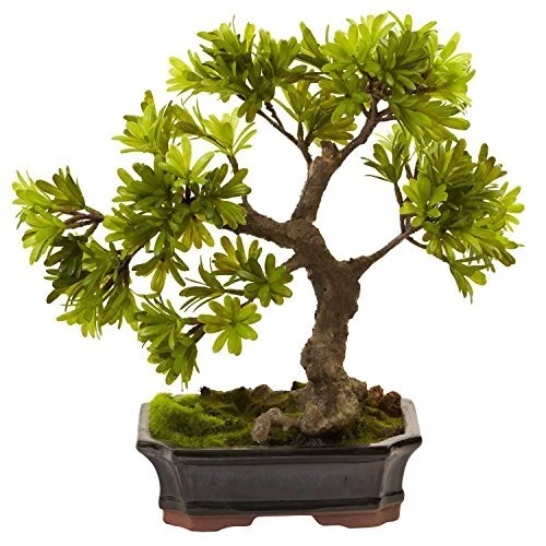 Nearly Natural Indoor Decorative Podocarpus With Mossed Bonsai Planter - Image 1 of 1