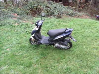 BENZHOU  Flex Tech 50 ccm Roller - Bild 1 von 4