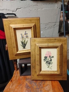 Z GallerieMCM Vintage Floral Botanical Wall Decor Art Prints Set of 2 - Picture 1 of 8