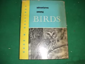 Adventures Among Birds Book Hugh Halliday Hardcover 1959 - Foto 1 di 7