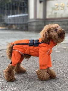 Hunde Wasserdichte Jacke, Leichte Wasserdichte Jacke Reflektierend M Sicherheit Medium - Bild 1 von 7