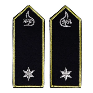 Schulterklappen Brandinspektor A9 (Baden-Württemberg) - Bild 1 von 1