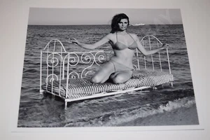Raquel Welch Pinup 8x10 Hochglanz Foto vollbusig sexy wunderschön Dekolleté 0036 - Bild 1 von 1