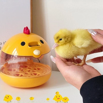 Eier-Inkubator Praktischer Eier-Brutkasten Zum Ausbrüten Von Gänsen - Bild 1 von 4