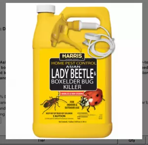 Asian Lady Beetle & Box Elder Bug Killer, 1-Gal. - Picture 1 of 2