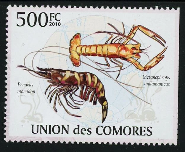 Shrimp Marine Fauna Ocean Life Individual Stamp Mint NH - Image 1 of 1
