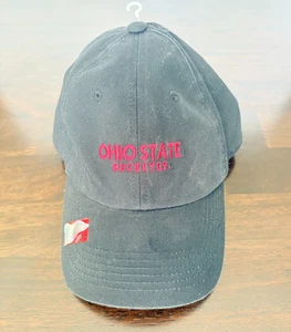 Ohio State University Buckeyes NCAA Ohio State Logo Grey Adjustable Hat Cap - Picture 1 of 3