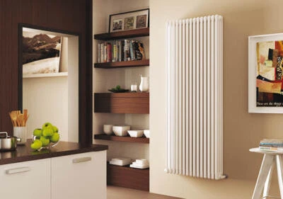 RADIATORI ACCIAIO TUBOLARE CORDIVARI ARDESIA 4 COLONNE H 856mm  INTERASSE 800mm - Immagine 1 di 4