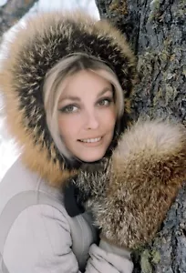 Sharon Tate Vintage Portrait #26 ENHANCED Prints Various Options SMTVP26 - Picture 1 of 5