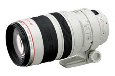Canon EF 100-400mm f/4.5-5.6 IS DO L USM Lens
