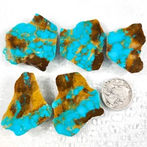 GS936 Webbed Hardy Pit Kingman turquoise rough slabs 58.7 grams; lapidary - Picture 1 of 10