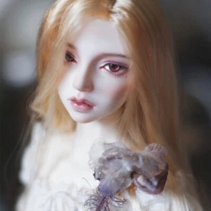 1/3 BJD Doll Female Bare Nude Resin Ball Jointed Eyes Handmade Face Makeup Gift - Bild 1 von 5