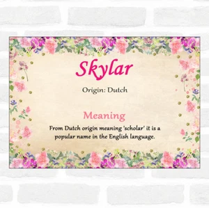 Skylar Name Meaning Floral Certificate - Imagen 1 de 1