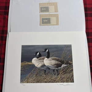 Neal Anderson 1991 First Of State Nebraska Duck Stamp Print & Signed Stamp Folio - Picture 1 of 16