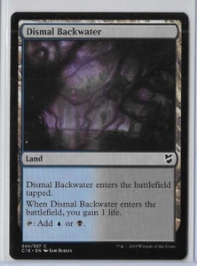 MTG Dismal Backwater Commander 2018 (C18) Common Magic Card #244/307 Unplayed - Picture 1 of 1
