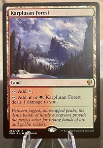 MTG Karplusan Forest Dominaria United 250/281 Regular Rare - Picture 1 of 2