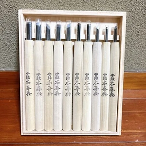 Juego de 10 piezas de cincel japonés tallado en madera grabadora de herramientas de carpintero - Imagen 1 de 5