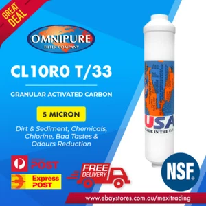 Omnipure CL10RO T33-B Carbon 5 Micron Inline Water Filter BB TYPE - Picture 1 of 4