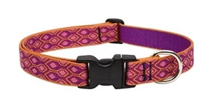 Lupine 4 Foot Leash & Matching Collar 13”-22” Both 3/4 Wide -Alpine Glow - Picture 1 of 5