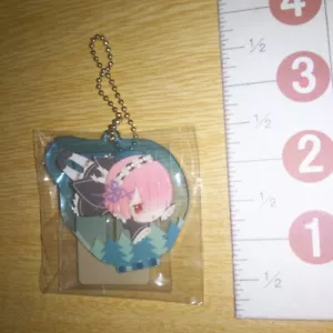 A69518 Re:Zero Starting Life in Another World Acrylic stand figure keychain Ram - Picture 1 of 3