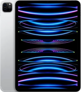 Apple iPad Pro 4ta generación A2435 - 2 TB, Wi-Fi + 5G, 11 pulgadas - Plateado - Muy bueno - Imagen 1 de 6
