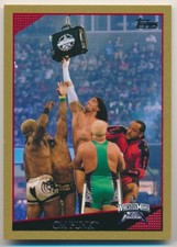 CM PUNK #79 2009 Topps WWE GOLD PARALLEL 329/500 AEW