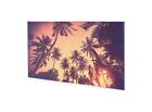 Acrylglasbild Wandbild Plexiglas Palmen bei Sonnenuntergang 140x70 cm