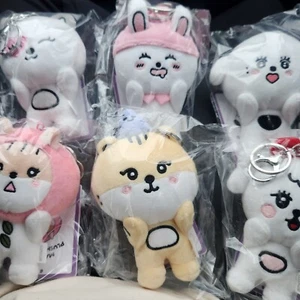 STAYC MAGNETISCHER PLÜSCH SCHLÜSSELANHÄNGER SET 2025 STAYC TOUR [STAY TUNED] in SEOUL OFFICIAL - Bild 1 von 14