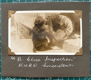 Original 1930er Foto indianischer afrikanischer Junge wird gepflegt von Affe geprüft Ref#F - Bild 1 von 2