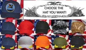 351ST BOMB SQUADRON 100TH BOMB GROUP H HAT PATCH CAP US 8TH AIR FORCE CROW - Picture 1 of 34