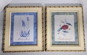 The Bombay Company gerahmte Lithographien 'Lavendel' und 'Kressekresse' von M. Brooks - Bild 1 von 8