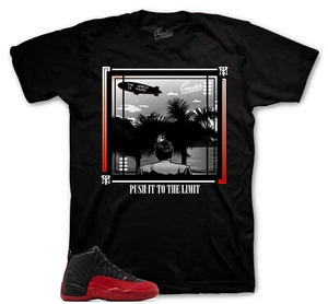 Shirt To Match Jordan 12 Flu Game Shoes - World Tees - Picture 1 of 3