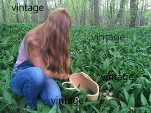50 x Wild Garlic Bulbs Only without Leaves ! PLANT NOW ! for Next Season 2026 ! - Picture 1 of 4