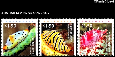 AUSTRALIA 2025 SC 5875-5877 LIVING SEASHELLS $1,50 (3) MNH OG EN MUY BUEN ESTADO Foto 1 de 2