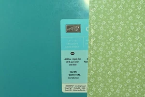 CERTAINLY CELERY DOUBLE SIDED PAPER & TAKEN WITH TEAL CARDSTOCK 12" X 12" NEW - Picture 1 of 10