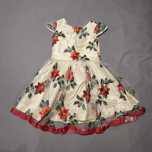 Five Loaves Two Fish Girls 8 Dress Formal Raw Silk Embroidered Tulle Christmas - Picture 1 of 12