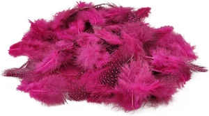 150 Stück rosa Deko Federn 6g Perlhuhn Federn Gepunktete Federn Schmuckfedern - Bild 1 von 7