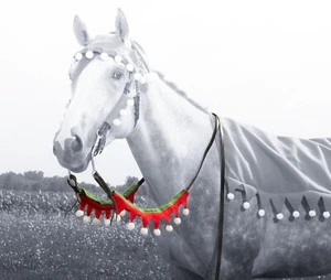 Holiday Horse Wear - Elf Rein Covers - Great for Parades, Parties and Photos - Picture 1 of 2