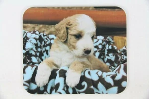 Mini Bernadoodle Puppy Computer Mouse Pad 9.25 in x 7.75 in, 5.5 mm Thick - Picture 1 of 2