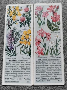 1936 Ty-Poo Tea Cards x2 Wildflowers in Their Families #5 & #7 Pink & Pea Family - Picture 1 of 2