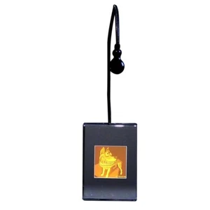 Máscara 3D Película Perro Holograma Imagen ESCRITORIO ILUMINADO SOPORTE Polaroid Fotopolímero Película - Imagen 1 de 7