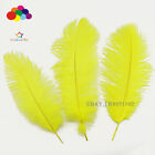 100 pièces 6-8 pouces plumes plumes plumes d'autruche jaune pour pièces maîtresses de mariage mariage