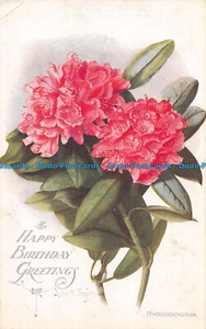 R059754 Birthday Greeting Card. Rhododendron. Salmon