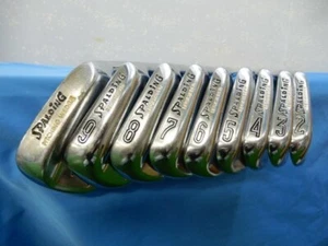 Golf Iron Set Spalding TOP-FLITE Custom Grafted Dynamic Gold R300 9pcs 2-P JAPAN - Picture 1 of 9