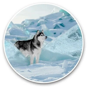 2 x Vinyl Aufkleber 30 cm - Siberian Husky Winter Eisschlitten Hund #46298 - Bild 1 von 8