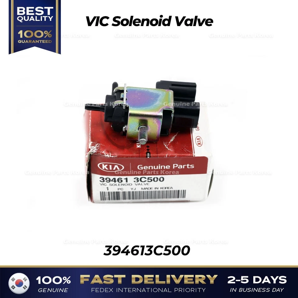 ⭐Genuino⭐ Electroválvula VIC 394613C500 para Hyundai Santa Fe Kia Sedona Foto 1 de 1