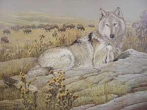 Guy Coheleach Soul Companion Wolf & Bison Limited Edition Art Print - Picture 1 of 1