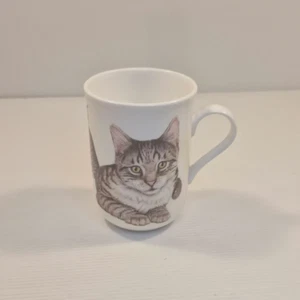 Cashmere Fine Bone China European Shorthair Cat Mug Coffee Tea Mug Cup 300ml - Picture 1 of 6