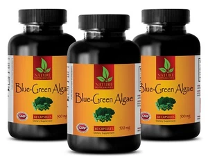 Organic BLUE GREEN ALGAE 500mg - Klamath Algae - Stem Cell - Anti Aging - 3 Bot - Picture 1 of 12